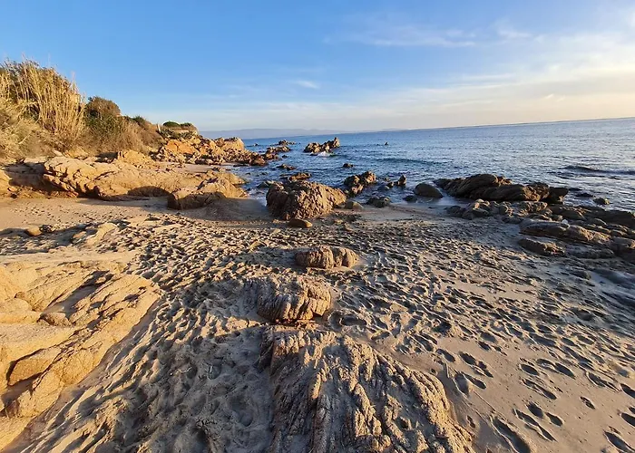 Cosyseaside Corsica Piscine Terrasse 公寓