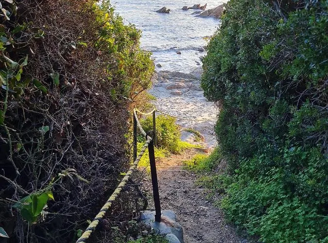 公寓 Cosyseaside Corsica Piscine Terrasse